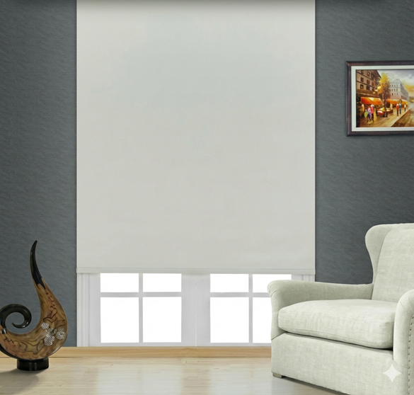 Roller Blinds, Zebra Blinds